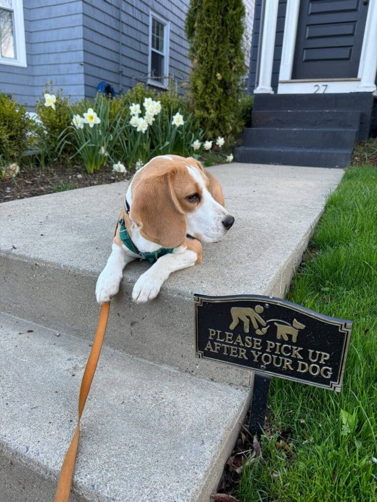 The Manual: You're a little late on your reading Beagle